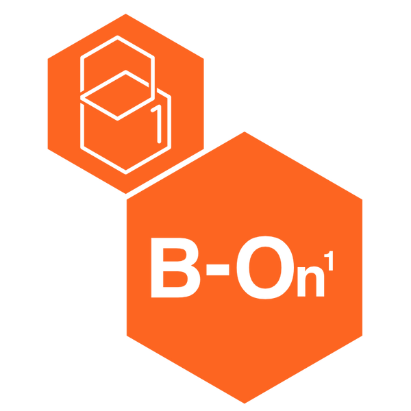 B On 1 Logo